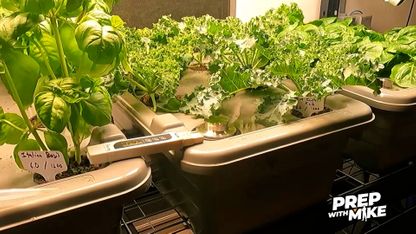 Latest GROW BOX improvements from the Health Ranger - simplified, low-cost food production system